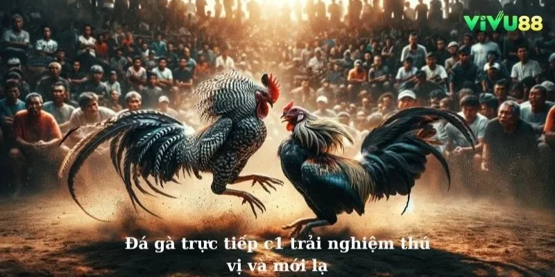 Áp dụng cách đánh gấp thếp