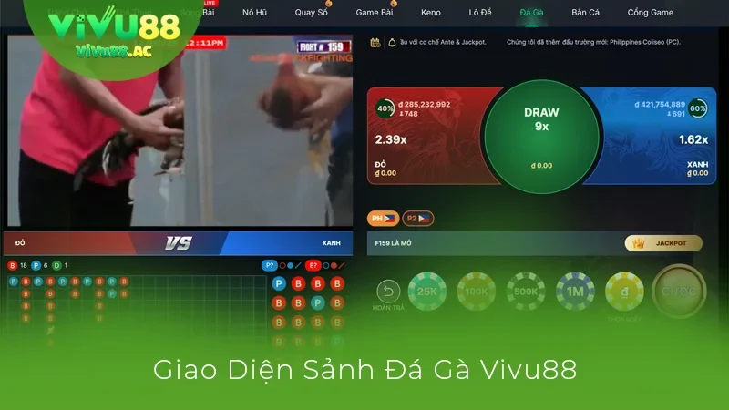 Giao diện đá gà Vivu88