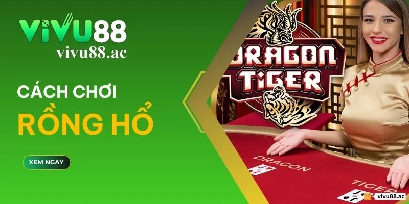 Rồng hổ là gì?